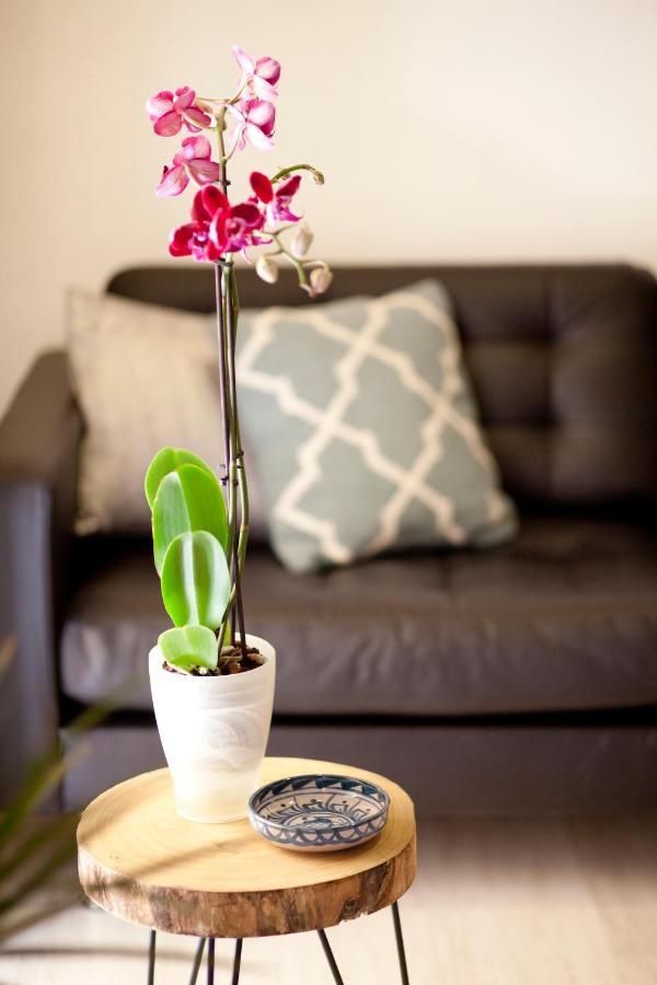 ולנסיה Authentic Charming Apartment/Wifi/Air Conditioning מראה חיצוני תמונה